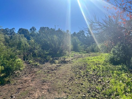 Terreno Plano En Los Pinos Reñaca 