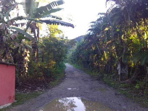 Imagem 7 de 11 de Terreno Para Chácara Em Mongaguá , R$ 85 Mil