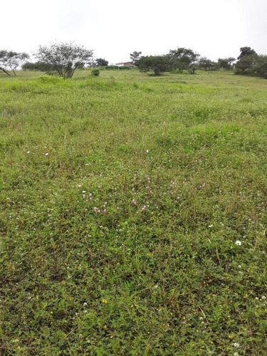 Terreno À Venda, 455 M² Por R$ 50.000,00 - Santa Bárbara Resort Residence - Águas De Santa Bárbara/sp - Te0333