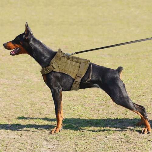 Arnés Táctico Profesional Ajustables Para Perros Grandes