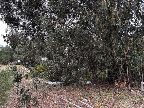 Lote Interno #100-200 - Costa Esmeralda - Deportiva - 1514m2 #id 9188