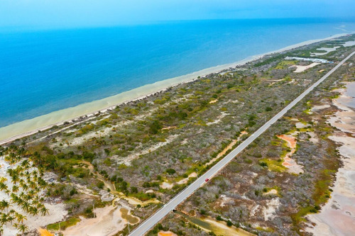 Lotes Navire Frontline Beach Ubicados En Las Playas De Santa Clara, Yucatán.