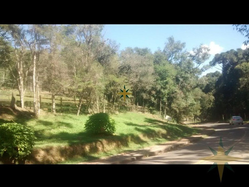 Imagem 10 de 12 de Sítio Com Excelente Localização - 484