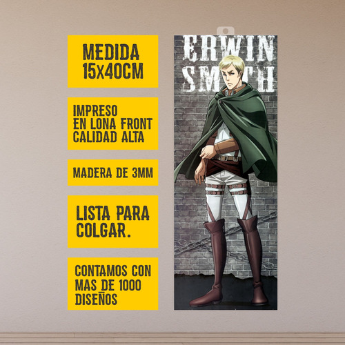 Mini Cuadro 15x40 Cm Shingeki No Kyojin Erwin Smith
