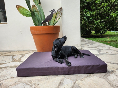 Imagen 3 de 7 de Cama Colchoneta Para Perros Lola Pets Antidesgarro 85x65 Cm