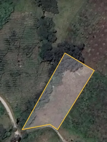 Vendo O Permuto Finca En Fusagasuga Vereda Guchipas