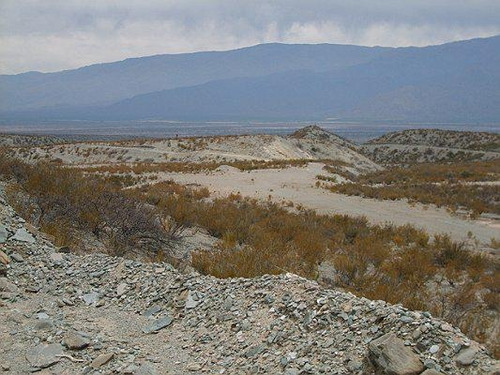Imagen 5 de 10 de Campo Apto Para Viñedo En Venta - Tolombón, Salta