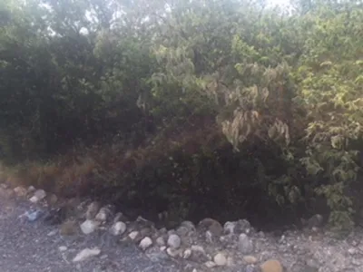 Terreno en venta