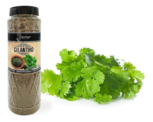 Pontino Cilantro 105 Gramos 2 Piezas