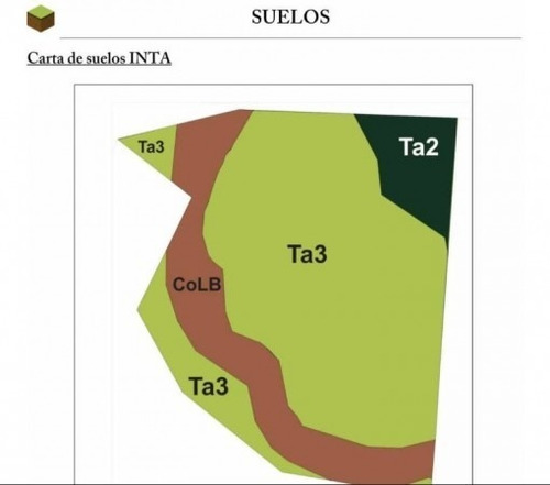 Campo 78 Hectareas Miramar 75% Cultibable Y Ganadero