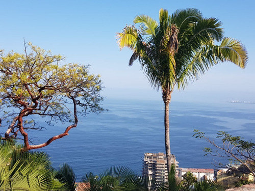 Increible Lote En Venta Ubicado En Conchas Chinas, Puerto Vallarta