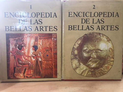 Enciclopedia De Las Bellas Artes Tomos 1 Y 2