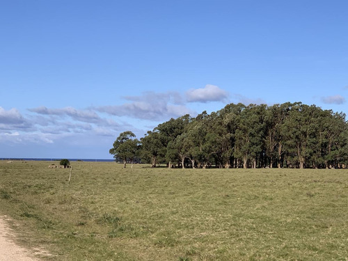 Terreno - José Ignacio