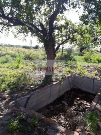 Finca 12 Hectáreas En Blanco