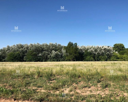 Imagen 2 de 8 de Terreno Lote En Venta Ubicado En Loma Verde, Escobar, G.b.a. Zona Norte