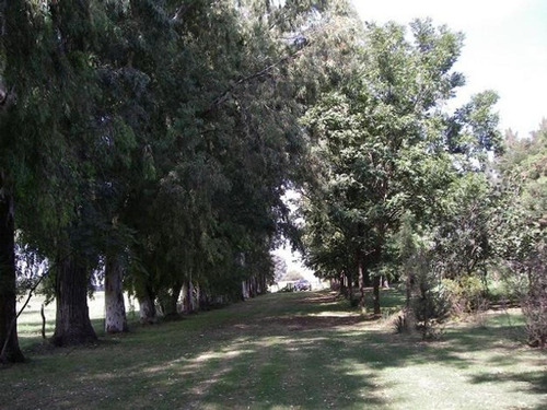 Imagen 1 de 7 de Chacra De 7.7 Ha, San Andres De Giles Sobre Rta 7