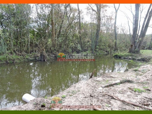 Imagen 17 de 22 de Chacra En Venta 3 Has Con Casa En El Colorado