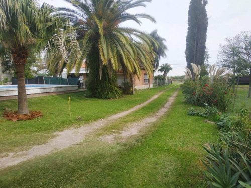 Imagen 9 de 24 de Se Vende 1ha. Con 3 Casas Sobre Ruta 11 Km 450