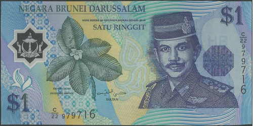 Brunei, 1 Ringgit 1996 P22 Plastico