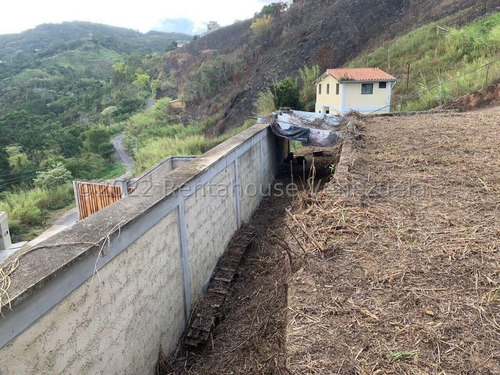 Imagen 5 de 9 de Terreno En Venta - Javier Merino