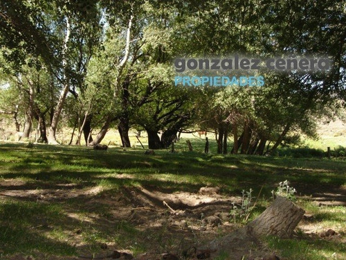 Venta Campo Ingeniero Jacobacci