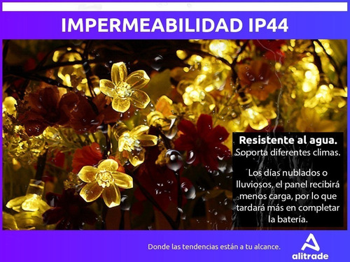 Imagen 5 de 10 de 6,5 Mts Luces Guirnalda Interior/exterior Led Flor