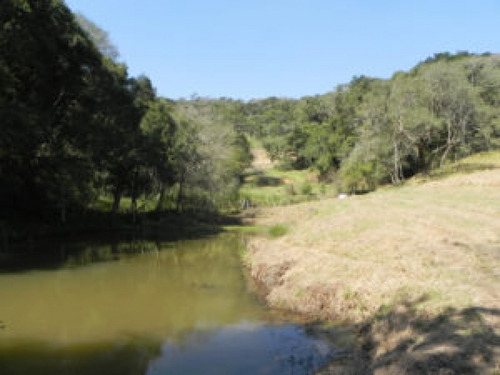 Imagem 5 de 6 de Terreno De 10.283 Mts² Com Lago Em Condomínio Fechado Cod: 0686