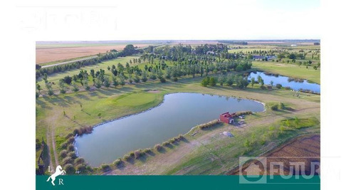 Imagen 2 de 14 de Lote144 - Golf - La Rinconada, Ibarlucea