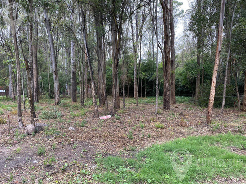 Terreno En  Balneario Santa Ana