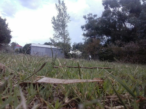 Imagen 10 de 30 de Campo Mixto En San Cayetano