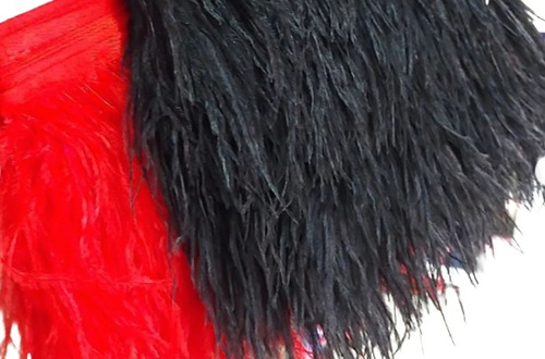Imagen 6 de 9 de Plumas Por Metros