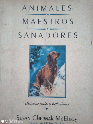 Animales Maestros Y Sanadores Historias Reales Y Reflexiones