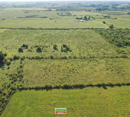Imagen 11 de 12 de Lotes Rurales De 3,5 Has Cada Una En Ejido Colón