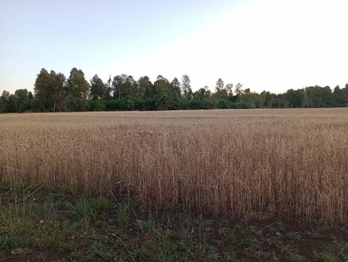 Se Vende Hermoso Campo En La Unión