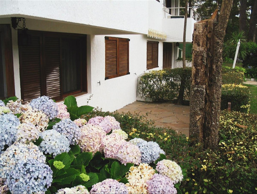 Vendo Apartamento 1 Dormitorio Y Medio Roosevelt Cantegril