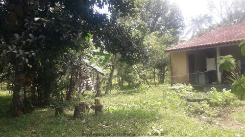 Imagem 28 de 29 de Chácaras Na Praia À Venda Em Itanhaem/sp - Compre O Seu Chácaras Na Praia Aqui! - 1488897