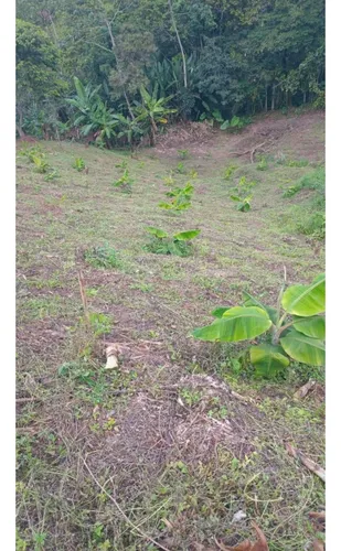 Se Vende Finca En Pijao - Quindío
