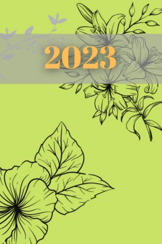 Agenda Dia Pagina 2023: Planificador Diario Y Mensual Format