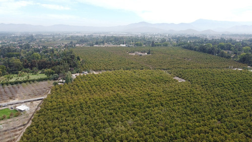 Venta De Campo Subdividido En Calera De Tango Id 58.796-cam