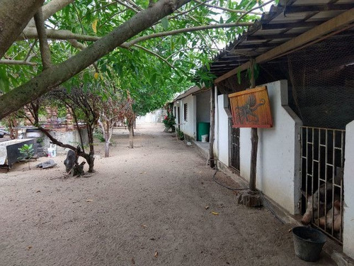 Granja A Venda Pium