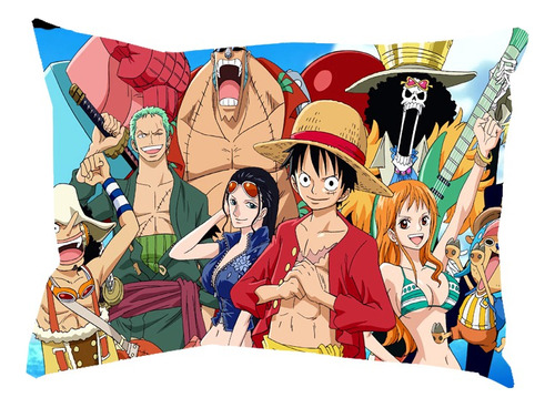 Cojines Decorativos One Piece