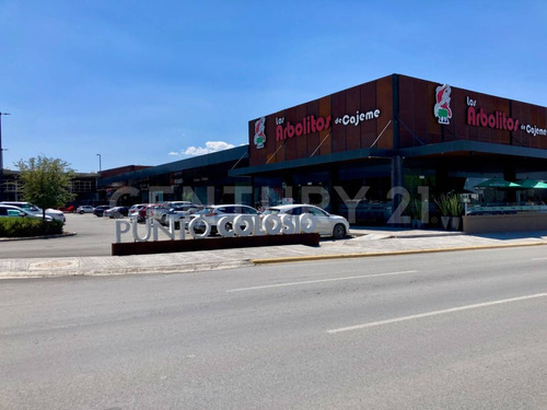 Renta Local Comercial En Saltillo Coahuila