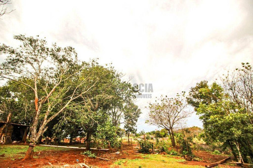 Imagem 6 de 26 de Chácara Com 1 Dormitório À Venda, 425 M² Por R$ 3.000.000,00 - Imóvel Foz Do Iguaçu - Parte I - Foz Do Iguaçu/pr - Ch0032