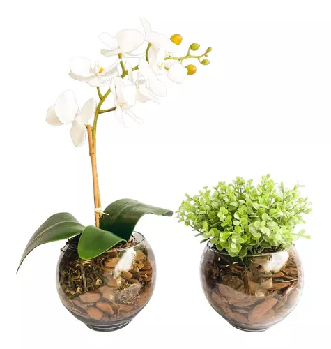 Kit Com 2 Arranjos Orquídea Branca E Folha No Vaso De Vidro
