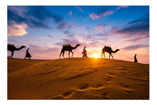 Vinilo 80x120cm Desierto Sahara Camellos En El Atardecer