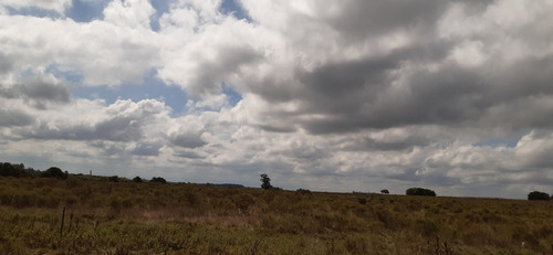 Chacra San Jacinto Ruta 11 Casa Tajamar Alambrado Monte 11 Ha