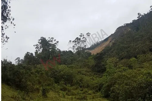 Terreno Para Inversión En El Alto Del Vino. 3.6 Fanegadas-7622 (7622).