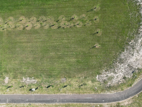 Venta De Terreno En Los Olivos De Los Horneros