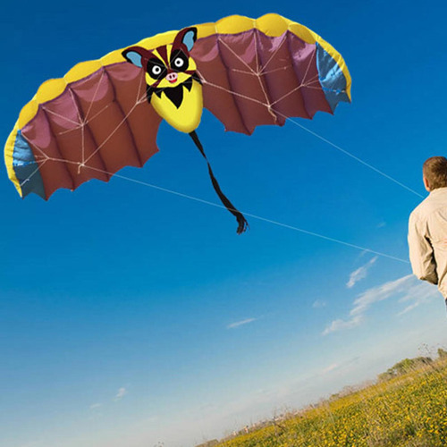 Frameless Kite Com 30m Kites String Flying Kites Parafoil