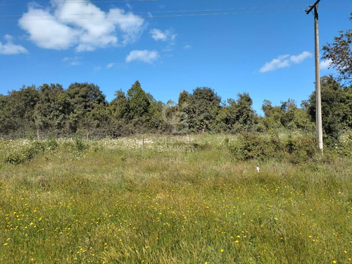 Parcela A Orilla De Camino En Totoral !
